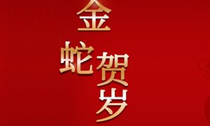 2025年，新春快樂(lè)  萬(wàn)事順意！